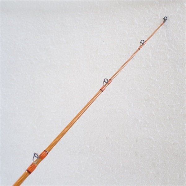 鯰人ＤＮＡＺ－６７Ｍ－２